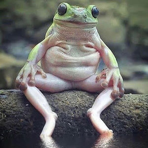 Meet your Posher, Ian